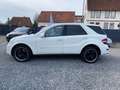 Mercedes-Benz ML 500 AMG PAKET AHK LPG HK SOUND PDC Blanco - thumbnail 3