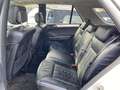 Mercedes-Benz ML 500 AMG PAKET AHK LPG HK SOUND PDC Blanco - thumbnail 14