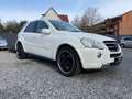 Mercedes-Benz ML 500 AMG PAKET AHK LPG HK SOUND PDC Blanco - thumbnail 8