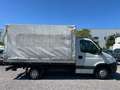 Iveco Easy Daily Bianco - thumbnail 5