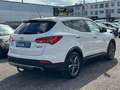 Hyundai SANTA FE /PREMIUM 4WD /AUTOMATIK ANH Weiß - thumbnail 6