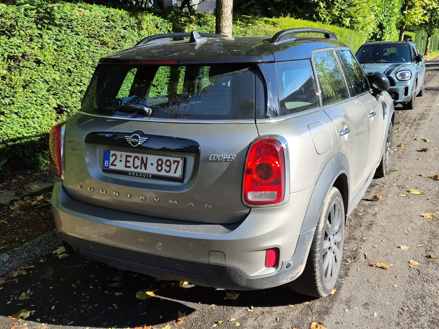 MINI Cooper Countryman Mini+Countryman+2.0AS+Cooper+S Beige - 1