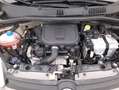 Fiat Panda Hybrid City Life 1.0 Mild Hybrid 70CV Grigio - thumbnail 13