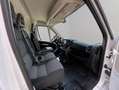 Fiat Ducato L3 H2 120 CV Blanco - thumbnail 7