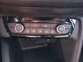 Opel Corsa Corsa VI 2020 1.2 Elegance PREZZO REALE!!!!! Negro - thumbnail 14
