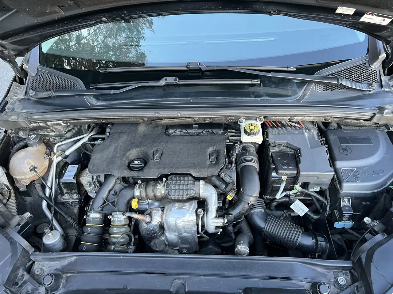Citroen C4 Berline — photo 8