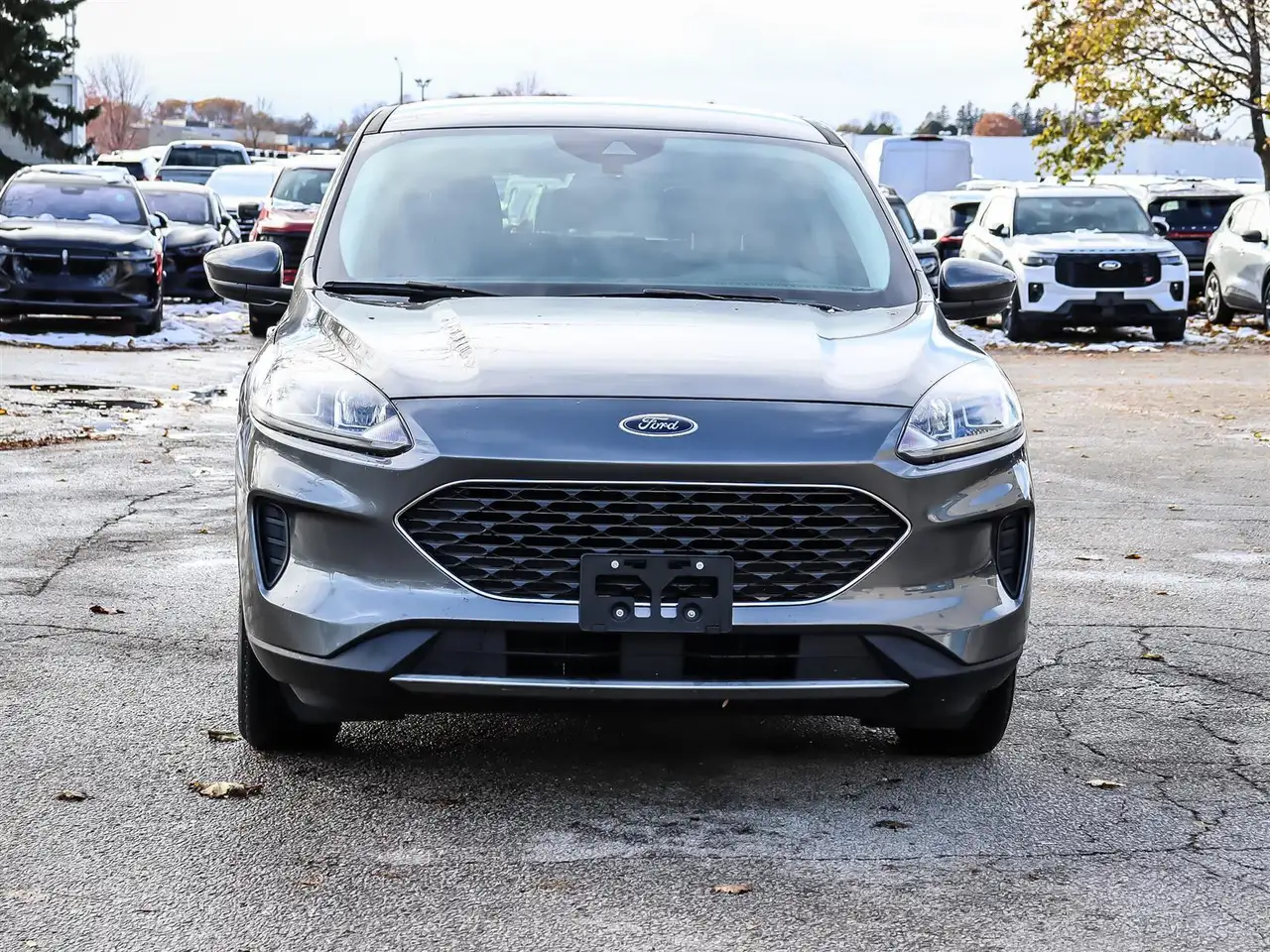 Ford Escape fotografie Ford Escape