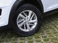Hyundai TUCSON AHK, Ganzjahresreifen, Scheckheft Blanc - thumbnail 10
