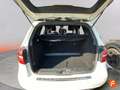 Mercedes-Benz E 250 Blanco - thumbnail 14