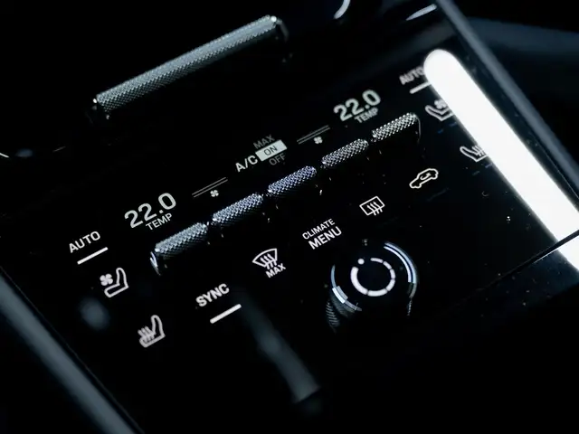 Porsche Cayenne view 20