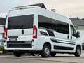 Fiat Ducato /Wohnmobil/4-Bett/Dusche/Küche/Herdplatte Blanc - thumbnail 9