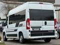 Fiat Ducato /Wohnmobil/4-Bett/Dusche/Küche/Herdplatte Blanc - thumbnail 7