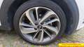 Kia Niro 1.6 gdi hev Energy dct Bianco - thumbnail 11