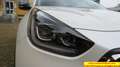 Kia Niro 1.6 gdi hev Energy dct Bianco - thumbnail 15