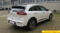 Kia Niro 1.6 gdi hev Energy dct Bianco - thumbnail 5