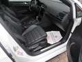 Volkswagen Golf R 4Motion Variant Keyless*Pano*Navi*Kam*SHZ*8-f Weiß - thumbnail 14