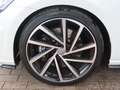 Volkswagen Golf R 4Motion Variant Keyless*Pano*Navi*Kam*SHZ*8-f Weiß - thumbnail 28