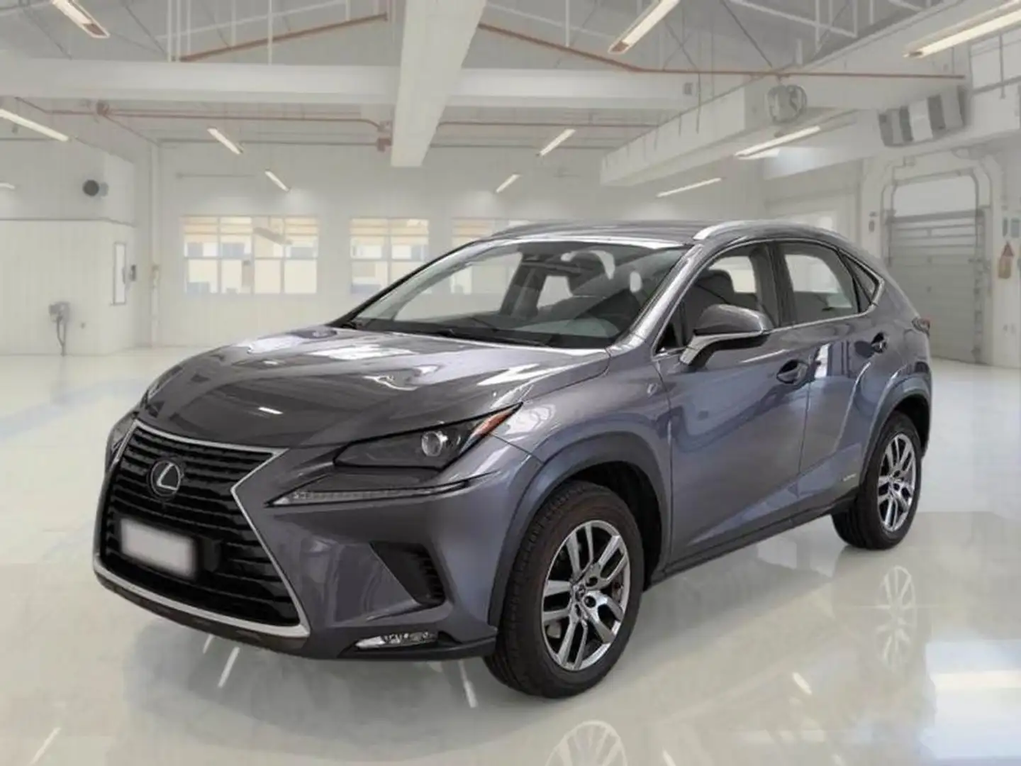 Lexus NX 300h 2.5 Business 2WD Gris - 2