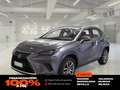 Lexus NX 300h 2.5 Business 2WD Gris - thumbnail 1