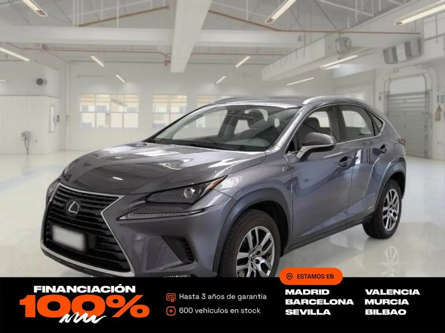 Lexus NX 300h 2.5 Business 2WD Gris - 1