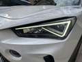 CUPRA Formentor 1.5l TSI 150 CV DSG7 V Blanc - thumbnail 42