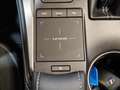 Lexus NX 300 300h Premium 2WD Gris - thumbnail 33