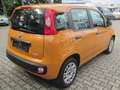 Fiat Panda Panda 1.2 Easy Orange - thumbnail 3