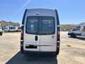 Fiat Talento Fiat Talento Camper | 2 Posti Letto | Cucina Argent - thumbnail 6