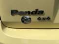 Fiat Panda Panda 1.2 Climbing 4x4 si neopatentati Giallo - thumbnail 11
