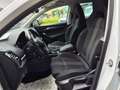 Skoda Karoq Style 4x4 2,0 TDI DSG Weiß - thumbnail 18