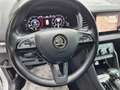 Skoda Karoq Style 4x4 2,0 TDI DSG Weiß - thumbnail 21