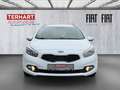 Kia Ceed / cee'd Sportswagon Edition 7 1.6 GDI/Sitzheizung Weiß - thumbnail 5