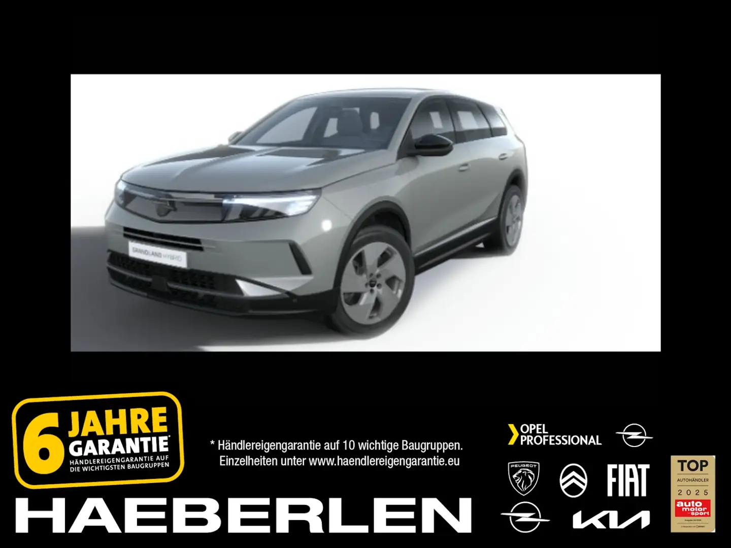 Opel Grandland Edition MHEV SHZ/LHZ*elekt.Heckk.Kamera Gris - 1