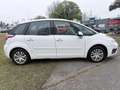 Citroen C4 Picasso HDi 110 Jubil. Collection *HÄNDLER/EXPORT* Blanco - thumbnail 8