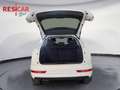 Audi Q3 2.0 tdi Sport 150cv s-tronic Bianco - thumbnail 14