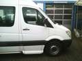 Mercedes-Benz Sprinter Extra Lang/Hoch Behindertentransport Wit - thumbnail 3