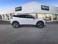 Peugeot 2008 Gasolina 100 S&S 6 Vel. MAN Allure Blanco - thumbnail 4