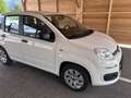 Fiat Panda 1,2 benziner - thumbnail 3