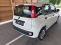 Fiat Panda 1,2 benziner - thumbnail 8