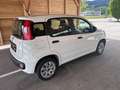 Fiat Panda 1,2 benziner - thumbnail 6