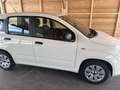 Fiat Panda 1,2 benziner - thumbnail 2