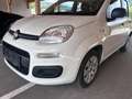Fiat Panda 1,2 benziner - thumbnail 10