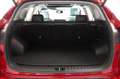 Hyundai TUCSON 2,0 CRDi 4WD Platin Aut. Rot - thumbnail 17