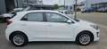 Kia Rio 1.2 84PK Airco Carplay® Camera 13000 kms! 2022 PDC Blanc - thumbnail 3