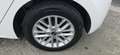 Kia Rio 1.2 84PK Airco Carplay® Camera 13000 kms! 2022 PDC Blanc - thumbnail 24