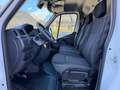 Opel Movano L2H2 2,3  3,5t €15.825 Netto Weiß - thumbnail 14