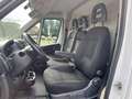 Fiat Ducato 33 2.2 Mjt 140CV PM-TN Furgone Bianco - thumbnail 4