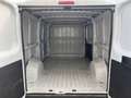 Fiat Ducato 33 2.2 Mjt 140CV PM-TN Furgone Bianco - thumbnail 5
