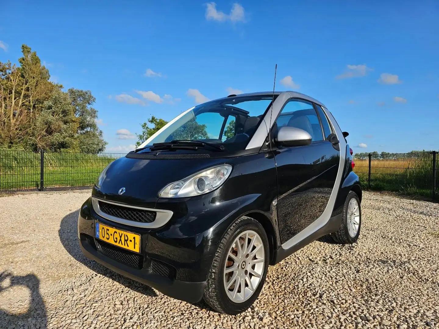 smart forTwo CABRIO MHD Grigio - 2