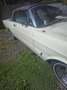 Ford Fairlane Weiß - thumbnail 1